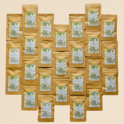 Probierpaket: Von jeder der 25 angebotenen Teesorten 20 Gramm